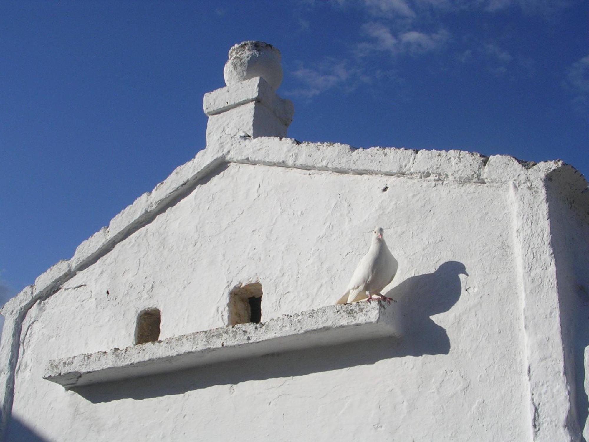 Masseria Purgatorio Φαζάνο Εξωτερικό φωτογραφία