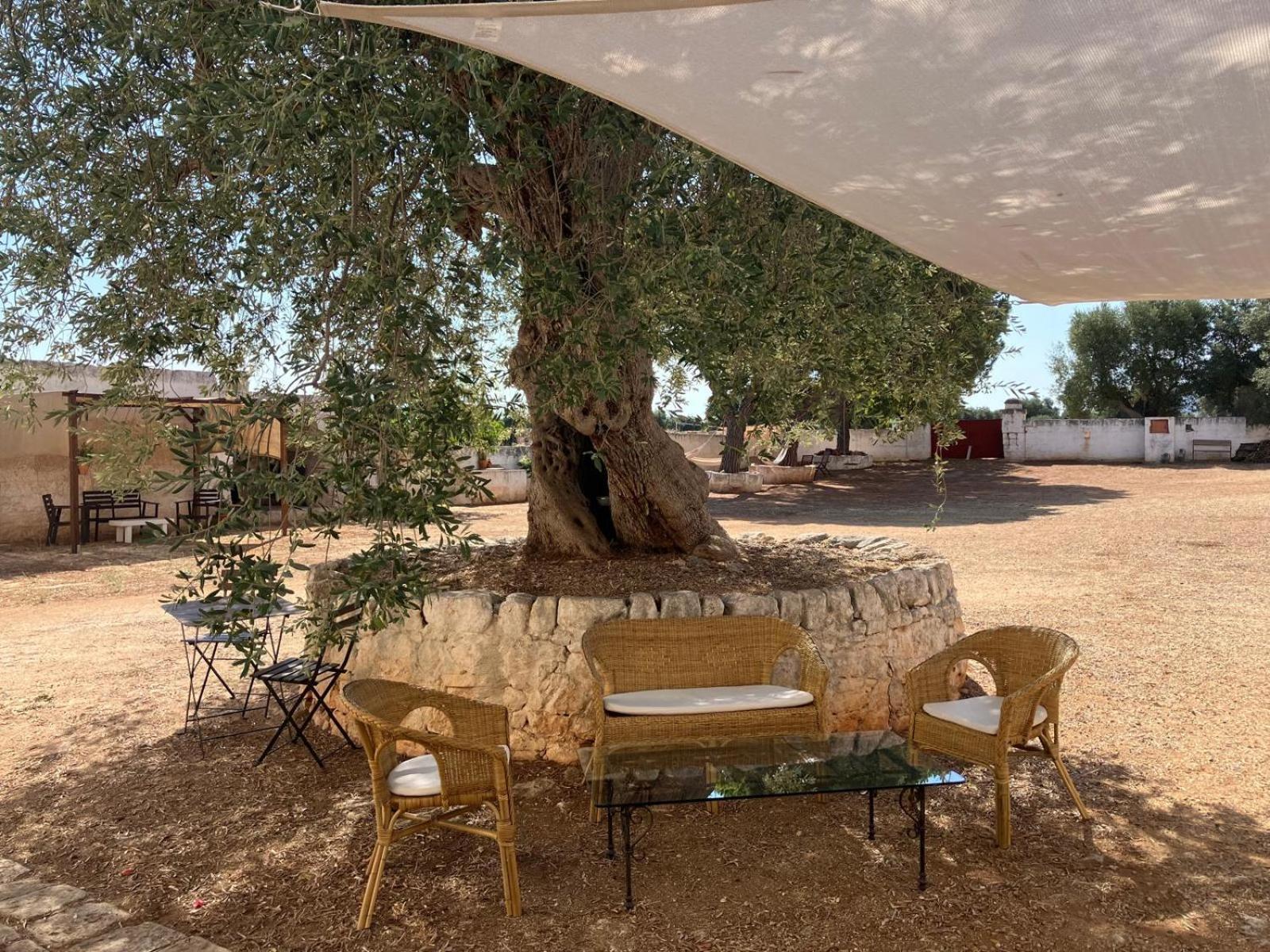 Masseria Purgatorio Φαζάνο Εξωτερικό φωτογραφία
