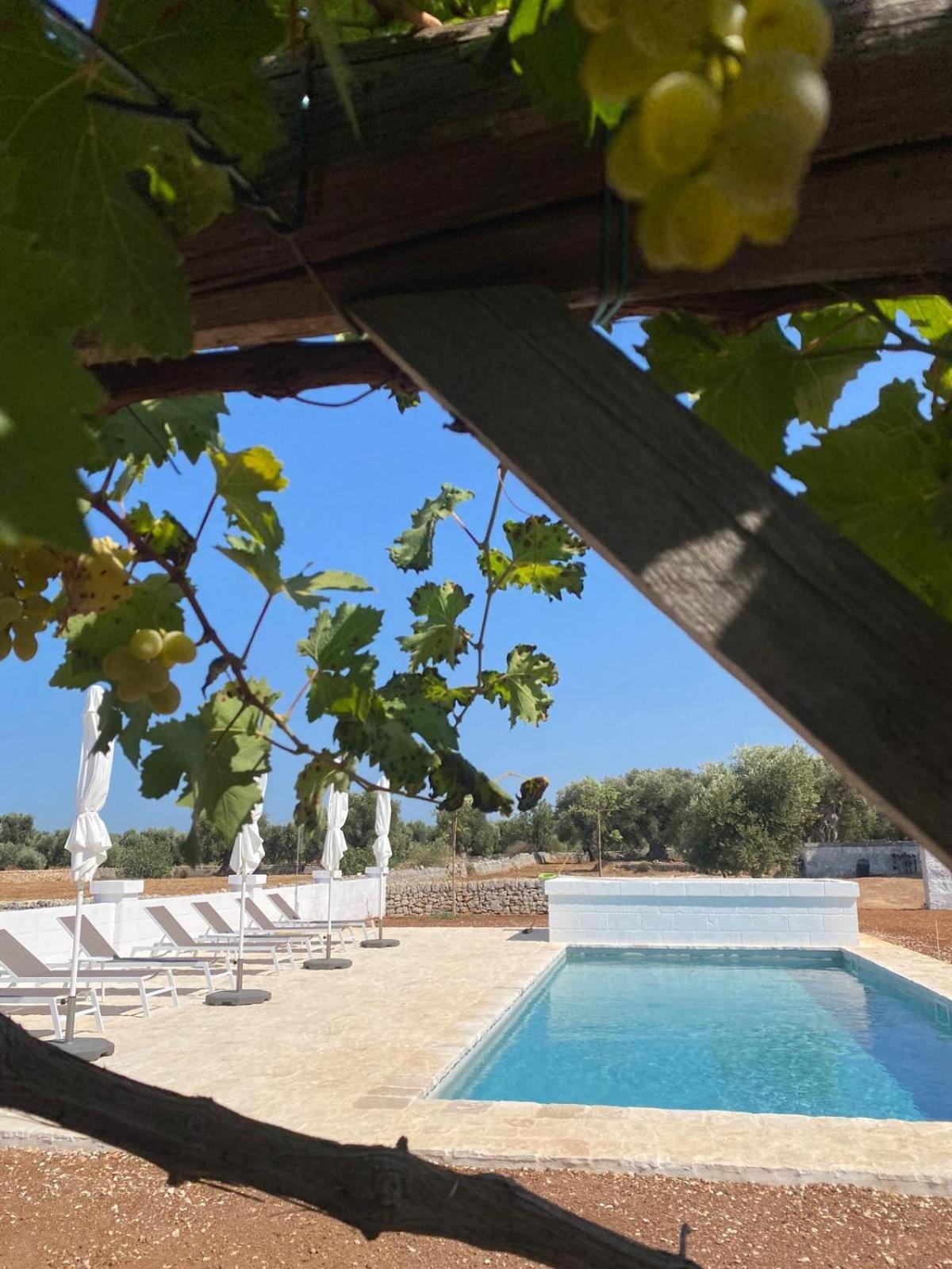 Masseria Purgatorio Φαζάνο Εξωτερικό φωτογραφία