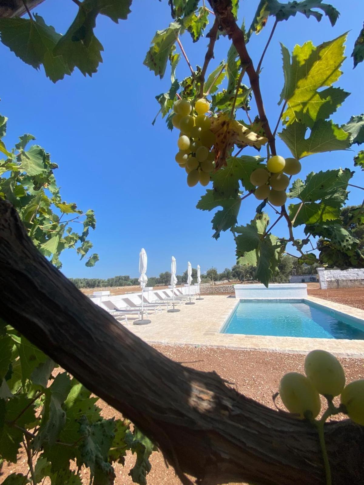 Masseria Purgatorio Φαζάνο Εξωτερικό φωτογραφία